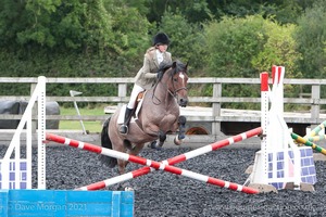 Class 3 -  Fences not above 2'3